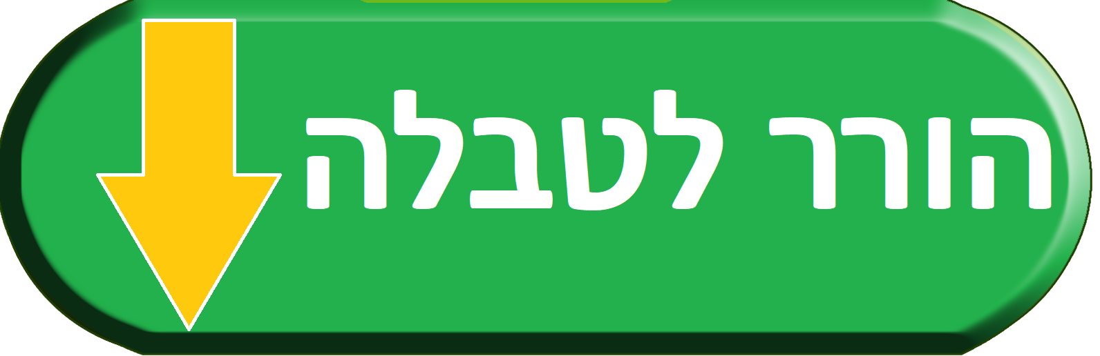 בצע פעולה